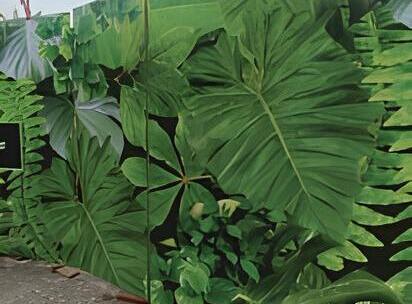 ปริ้นวอลเปเปอร์ติดผนังปูนภายนอก