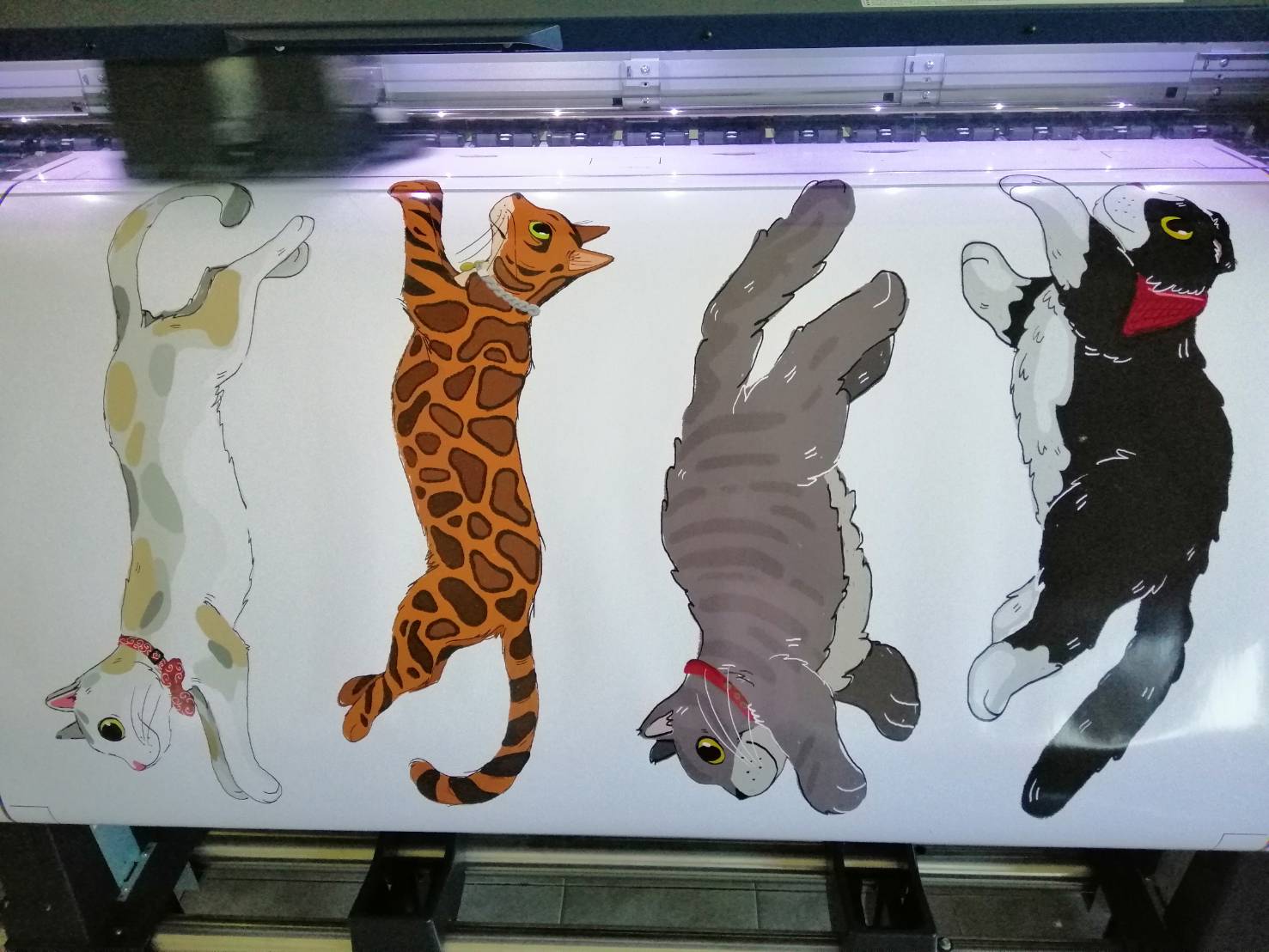 รับปริ้นสติ๊กเกอร์ไดคัท