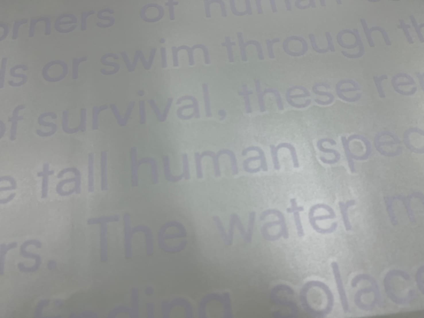 ร้านสติ๊กเกอร์ไดคัท