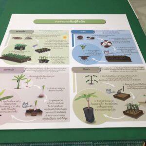โปสเตอร์โครงงาน